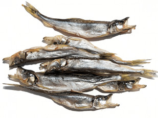 Кета (плавники): Корюшка (мелкая) вяленая (Камчатка)